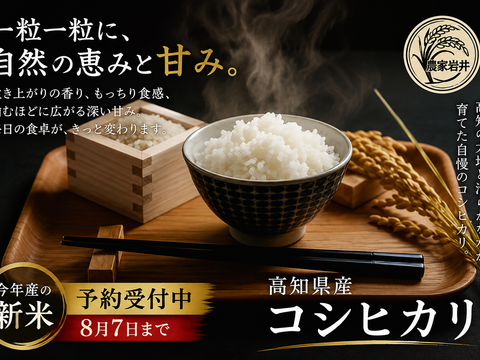 8/7まで予約受付】令和8年産 高知県産コシヒカリ 5kg（玄米）新米 予約