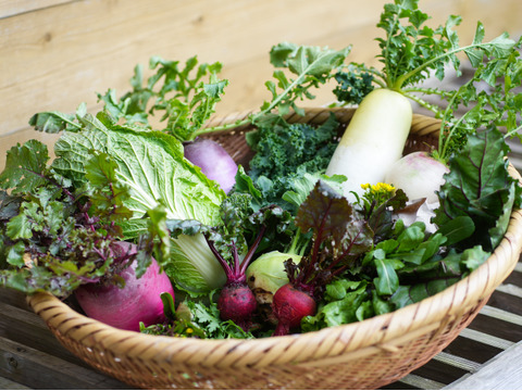 こだわり！ふるるの冬野菜セット10種程度・5㎏