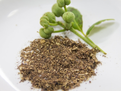 《食の世界遺産登録🎖️》本場 有馬山椒の実🌿 たっぷり1kg 実山椒（生）有馬温泉の麓よりお届け♨️ 兵庫県有馬特産 山椒の実 希少な有馬山椒🌟 栽培期間中農薬不使用《クール便🛻》