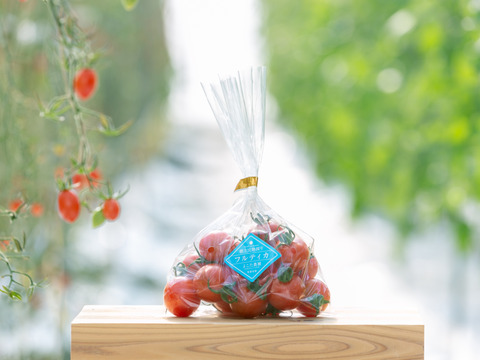 【新春SALE】フルーツトマト　フルティカ290g×9袋