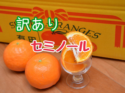 【訳あり】したたる果汁！暑い季節にもってこい！セミノール  4kg（樹上完熟、袋掛け栽培）