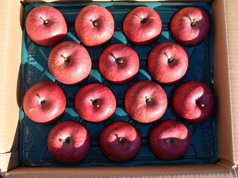 【数量限定】真っ赤な完熟🍎葉取らずサンふじ（秀品）贈り物にも◎（4～5㎏）