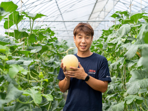 【お中元】【島根県発！幻のメロン】「ゴールデンパール」１玉約１.３kg