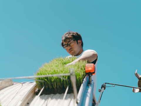 令和8年米　特別栽培米コシヒカリ 10㎏