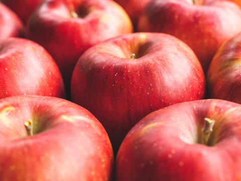 じゅわっと甘い！【シナノスイート】3Kg （7～9玉）