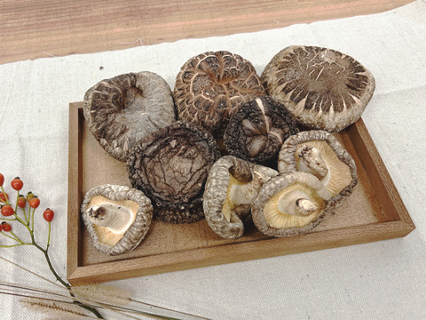 『旨味最強レベル！』原木で育てた「乾燥原木しいたけ」７０ｇ