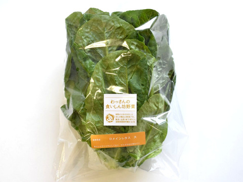 和らぎ農法　ロメインレタス　大（1～2玉）