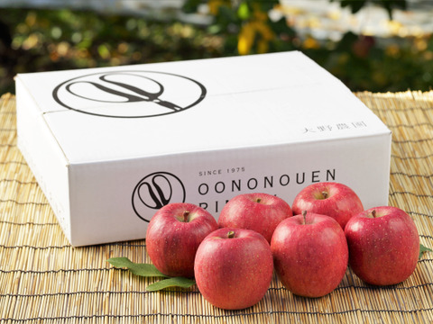 サンふじA規格　大野農園を代表する品種「りんごの王様」18～14個程度（約5ｋ）