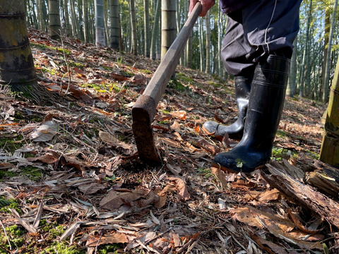 【2026年産】旬の天然タケノコ2kg（富山県氷見産 / ふるさと納税可）/ 栽培期間中、農薬・化学肥料・除草剤不使用［朝掘り採れたて発送］