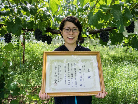 【今だけ訳アリお買い得】シャインマスカット2.8ｋｇ箱(８パック入り)