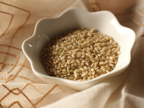 【数量限定】令和７年産はいごころ玄米４ｋｇ　プチプチした食感が楽しい個性派玄米