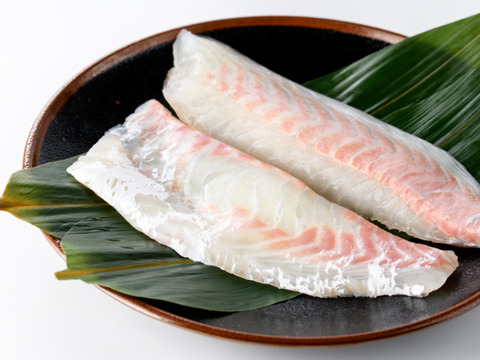 【福袋】百年漁師の鰤＆真鯛スキンレスロイン　ワイワイ大容量②（熨斗対応可）※販売は11月末まで