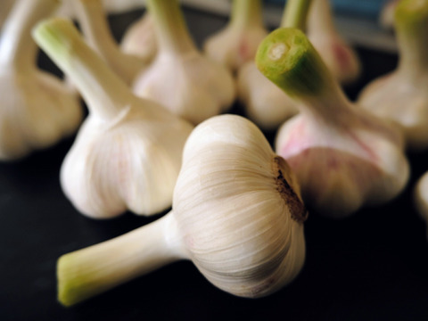 一度食べてほしい綾町産有機ニンニクのセット(おまけ付き)