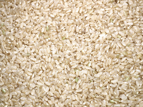 🌾 岡山産きぬむすめ｜玄米10kg（5kg×2袋）農薬不使用、艶やかで甘み広がる上質なお米