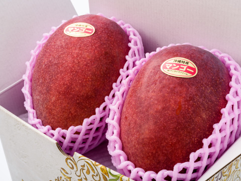 【夏ギフト】【順次発送中】限定 サンライズファームのアップルマンゴー 【大玉2玉1.2kg以上】【秀品】
