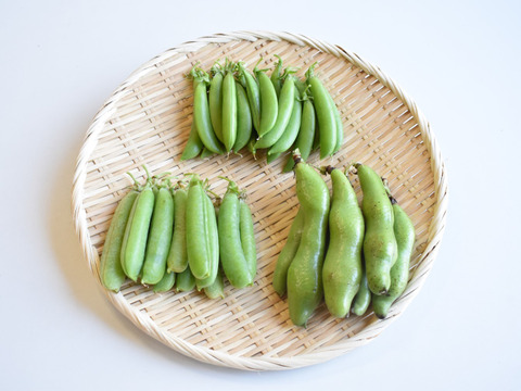 和らぎ農法　豆まめ　食べ比べ便