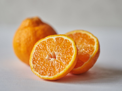 箱込約1.8㌔　不知火デコ　1,000箱売れる人気商品