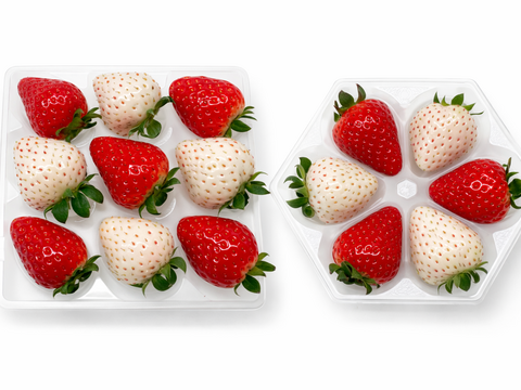 【食べ比べ】2色(赤・白)フラワー＆スクエア　160g×4箱セット