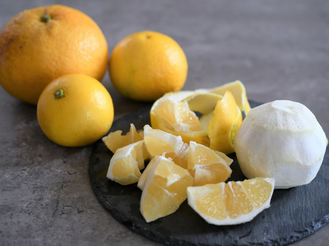 【初夏の味】【訳あり】ニューサマーオレンジ　１０ｋｇ　※４月上旬発送