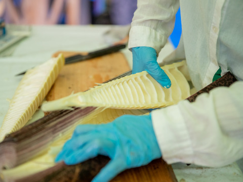 【メール便】メンマときくらげが主役のキーマカレー2袋セット