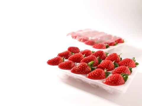 甘さと香りに惚れる朝摘み「古都華」540g 2Lサイズ