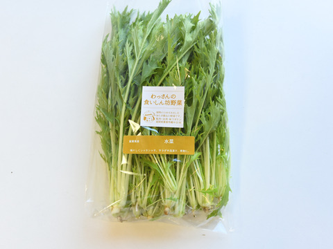 和らぎ農法　水菜（1袋）