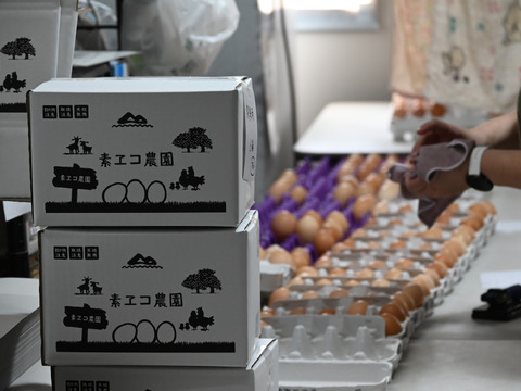 【平飼い・白身ぷるん！】ばあちゃんの昔たまご 佐賀県伊万里産 ごとうもみじ 20個