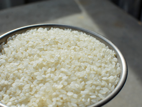 【超レア】作付割合4.5%「粒すけ」千葉県オリジナル品種、令和2年に秋デビューの6才 4.3kg【無洗米】