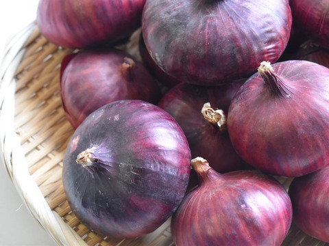 和らぎ農法　極みの赤玉ねぎ便（約2.5kg）