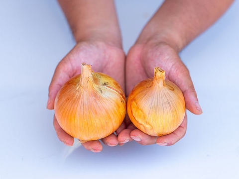 【淡路島産】赤玉ねぎ5kg＋玉ねぎ5kg｜計10kgセット★ひょうご安心ブランド認証★サラダ・スライスに◎料理の彩りにも！
