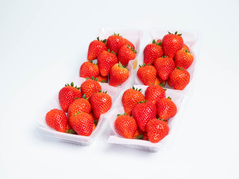 「とちおとめ」＆「とちあいか」食べ比べセット 260g×4パック
