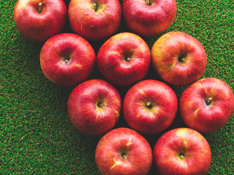 【緊急SOS！賞味期限間近のため25%OFF】完熟ストレートりんごジュース 1000ml × 6本