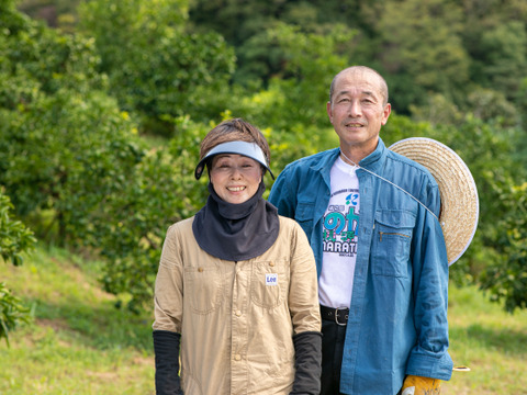 【自然栽培】日向夏/甘夏みかんの2種詰合せ 5㎏箱詰-農薬不使用/無肥料/無除草剤-