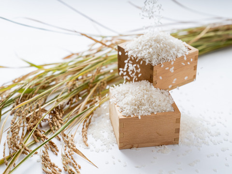 令和4年度産精米🌾長崎県認定特別栽培米にこまる10㎏🌾宮下さんちのおいしいお米