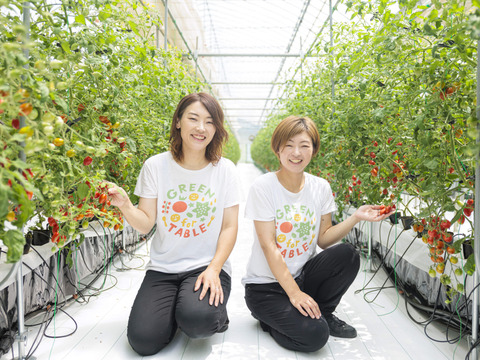 ★野菜ソムリエサミット2025金賞受賞商品★高糖度！【マスカットのようなフルーツトマト】ママ姉妹が作る〝美甘トマト〟　1キロ