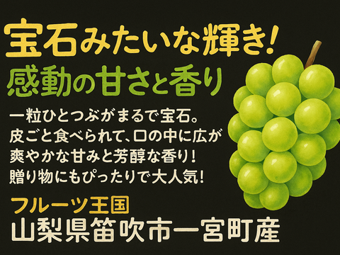 🍇【山梨県笛吹市産】プレミアムシャインマスカット 約3kg🍇 ～芳醇な甘みと爽やかな香り、贅沢なひとときを～贈答　ギフト　家庭用にも