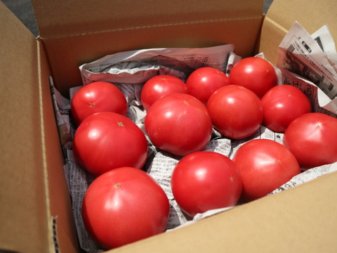 夏野菜セット（３〜５品目）