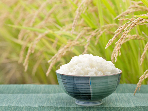 21歳若手農家が作る　つや姫 15kg