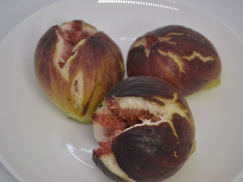 イチジク(５～１０個前後）４パック【農薬・化学肥料不使用】【熨斗(のし)対応可】６０サイズ箱