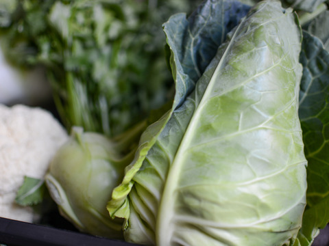 【旬の上州野菜】お試しサイズ（3~5品目）梱包まで丁寧に