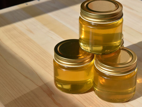 【非加熱・純粋はちみつ】2025年度知多半島産　初夏の百花蜜(150g)