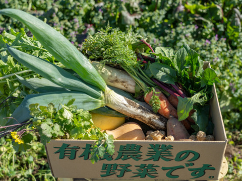 【有機JAS認証】季節の野菜セット（10〜15品目、100サイズ）