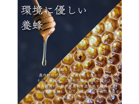 【神奈川県産】透き通る蜜と上品な桜の香り！さくら蜂蜜