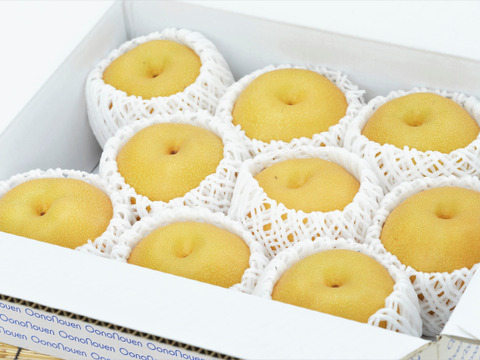 大玉梨　上品な甘さと良き香り【梨：新高】9～5個程度（約3ｋｇ）