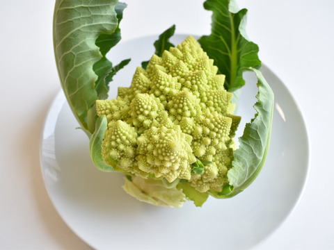 和らぎ農法　ロマネスコ（1～2個）