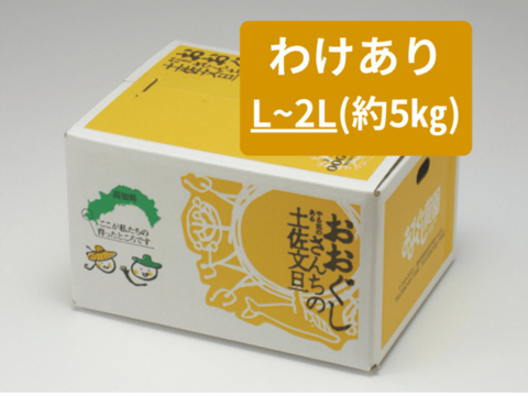 【土佐文旦訳あり文旦5ｋｇ(L～2L)】日本で一番みかんと暮らしてる私たちにお任せください！