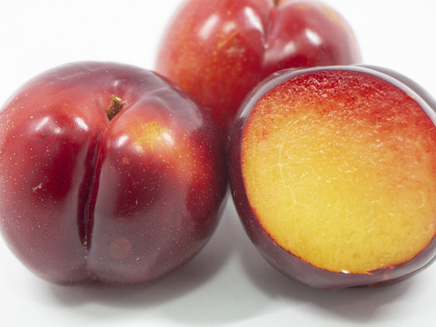 【山梨県産】すもも 菅野中生 1kg 冷蔵