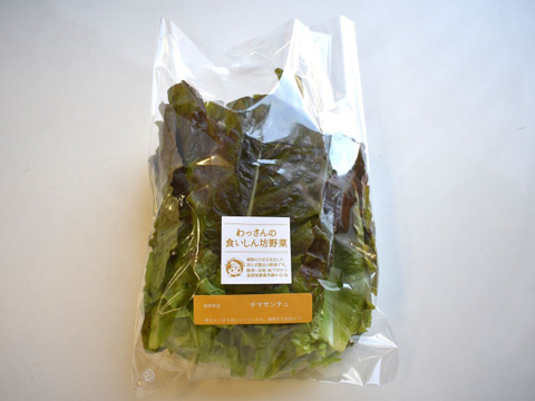 和らぎ農法　チマサンチュ（1袋）