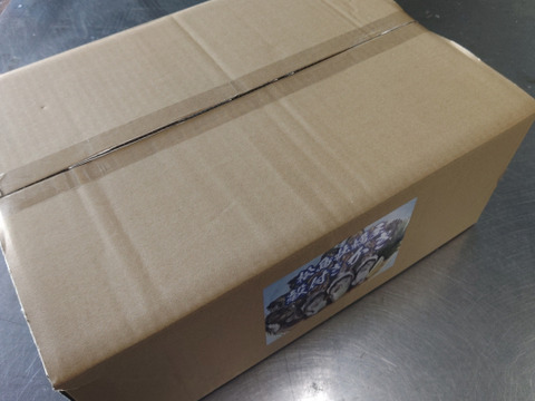 【水産庁補助事業　送料無料】❄️ 生食用 ８ｋｇ 殻付き 牡蠣 急速凍結 （冷凍牡蛎）松島牡蠣屋直送 🔥 BBQ/パーティーに！貝類 海産物 oyster 😋冷凍牡蠣 貝類 二枚貝 B