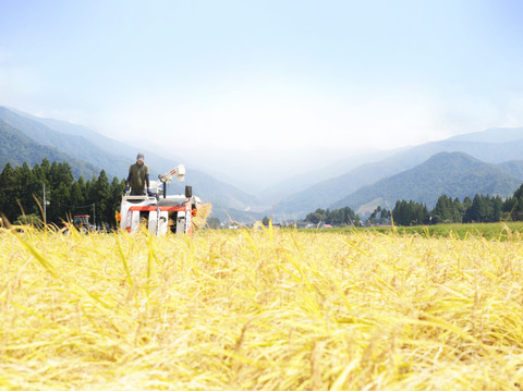 【福袋】【R7新米】南魚沼産コシヒカリ 白米5kg ひらくの里ファーム 慣行栽培